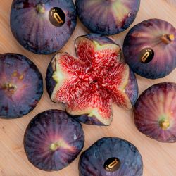 Comprar Higos Ecológico de Lleida – Seleqtium by Exquisitia