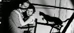 Misterios e historia: El gato negro: Origen de la superstición