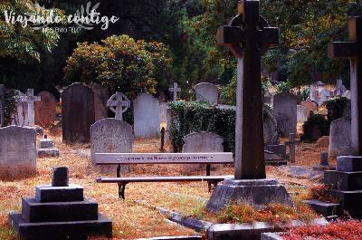 Cementerio de Old Brompton (Londres) Necroturismo