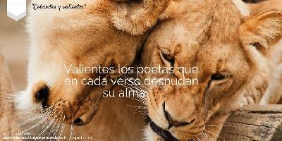 Poemas míos, tuyos y nuestros: Cobardes y valientes