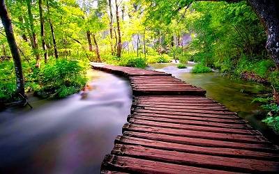 ¿Construyes puentes o muros? ~ FUNDAJEZREEL