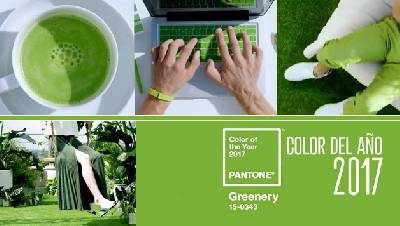 Rachel´s Fashion Room: Pantone color of the year 2017!