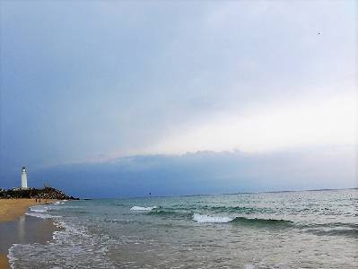 ContarEnBreve: El agricultor del mar