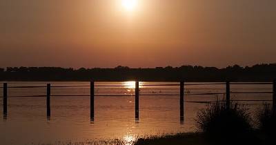 Sociedad de la desinformación. Doñana como ejemplo