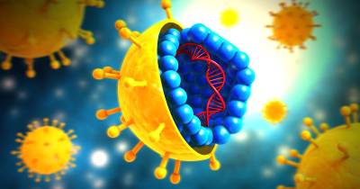 Todo lo que debes saber sobre la hepatitis C