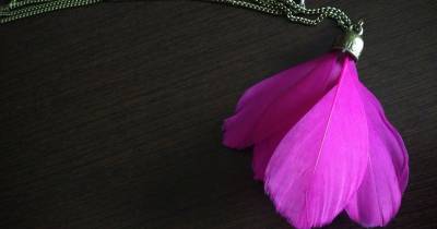 Creativo Y Original: Colgante Con Plumas