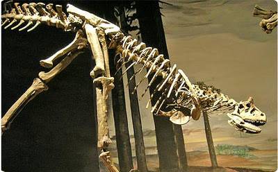 El Museo Paleontológico Egidio Feruglio concentra los hallazgos fósiles más importantes de la Patagonia.