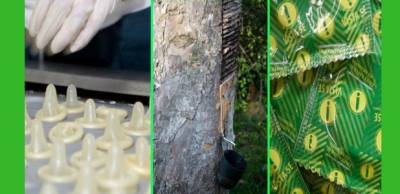Condones del Amazonas para proteger la selva | SIGNUS Blog