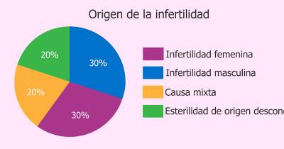 Inventando una mamá: Las causas de la esterilidad