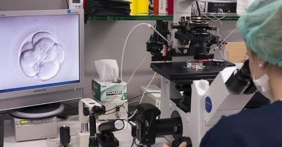 Inventando Una Mamá: Clinicas De Reproducción Asistida. Cómo Elegir