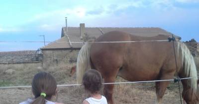 Dulce infancia: Pasión equina # MiércolesMudo