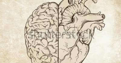 Dulce infancia: Educación emocional en la infancia