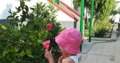 Dulce infancia: #MiércolesMudo : La flor más bella