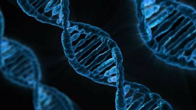 El jardín secreto de la poesía: Prodigio molecular
