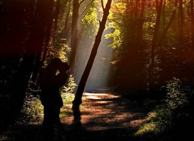 El jardín secreto de la poesía: Bosque de amor eterno