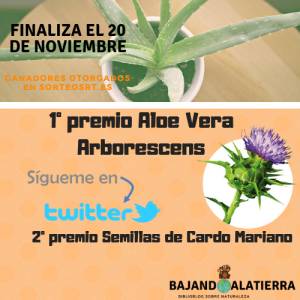 Sorteo Noviembre 2018 | Bajandoalatierra. com
