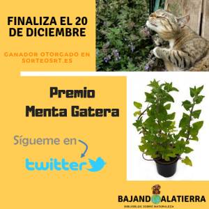 Sorteo Diciembre 2018 bajandoalatierra. com