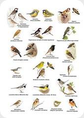 Aves y naturaleza protegidas en la provincia de Santa Fe.