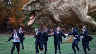 Las fotos de boda no siempre tienen que ser aburridas | SectorViral