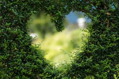 El jardín secreto de la poesía: Eros, Apolo y Dafne