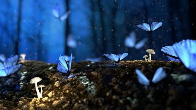 El jardín secreto de la poesía: Redundancia onírica
