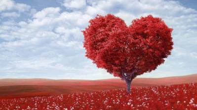 Sentirse Bien Psicología: La Psicología del Enamoramiento