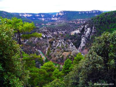 Orígenes De La Ciencia Ecológica: La Naturaleza Mecánica