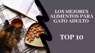 Los mejores alimentos para gato adulto