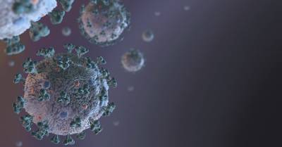 Acorde Con La Vida: 'Salud Sin Bulos'