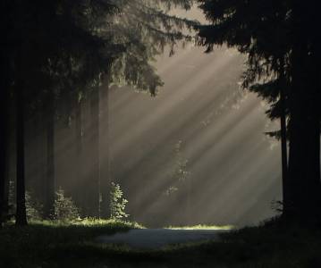 Un rayo de luz. Cuando todo parece perdido, siempre podemos encontrar la salida. Querer es poder