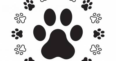 Acorde con la vida: 'Hasta siempre, mi Grandullón!'