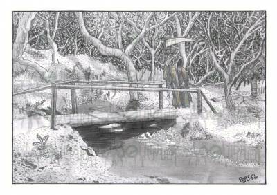 Dibujo a bolígrafo: 'Lo hondo del bosque'