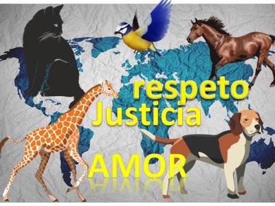 El mundo y la proteccion de los animales