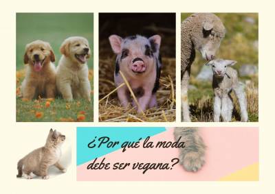 ¿Por qué la moda debe ser vegana?