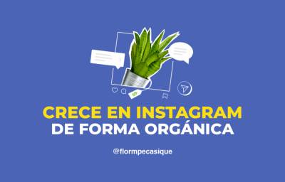 Cómo Crecer En Instagram De Forma Orgánica Y Sin Usar Trucos Sucios