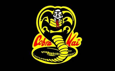 Reseña Serie ~ Cobra Kai [Temporadas 1 y 2]