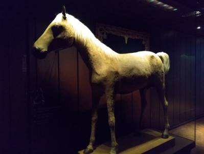 El Vizir, caballo de Napoléon