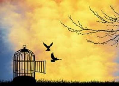 ¿Qué es el coaching, para qué sirve y a quién le puede interesar?
