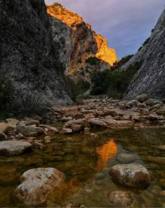 El Campichuelo, de la tierra a las estrellas
