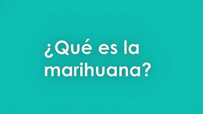 ¿Qué es la marihuana? - Adicciones 0,0