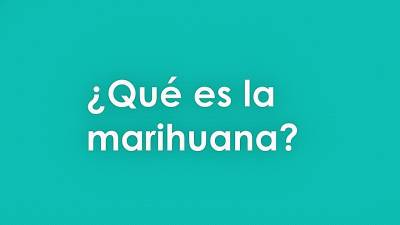 Cannabis, breve historia
