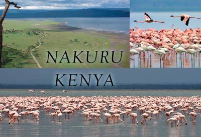 Nakuru, la perla rosa de Kenya