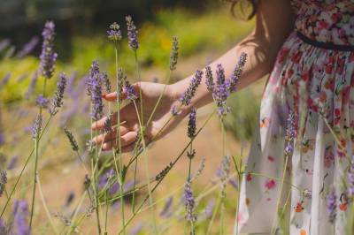 Agua de lavanda para el acné
