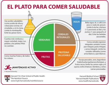 Ventajas del método del plato de Harvard
