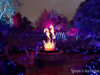 Visitar Naturaleza Encendida, las luces de Navidad del Jardín Botánico
