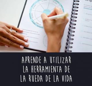Herramienta: la rueda de la vida