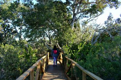 Descubriendo el Parque Nacional Bosque Fray Jorge