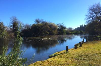 Isla de Maipo, un descanso cerca de Santiago