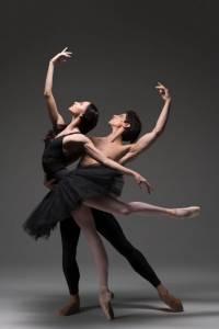 Danza De Amor...