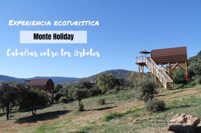 Experiencia ecoturística en Monte Holiday: Cabañas entre los árboles